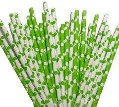 Greenprint Paper Straws 150 Pack