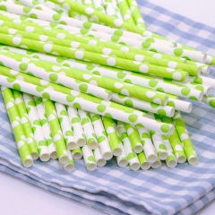 Greenprint Paper Straws 150 Pack