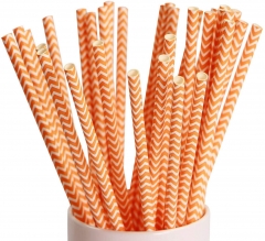 Orange Striped Disposable Custom Straw 100 Pack
